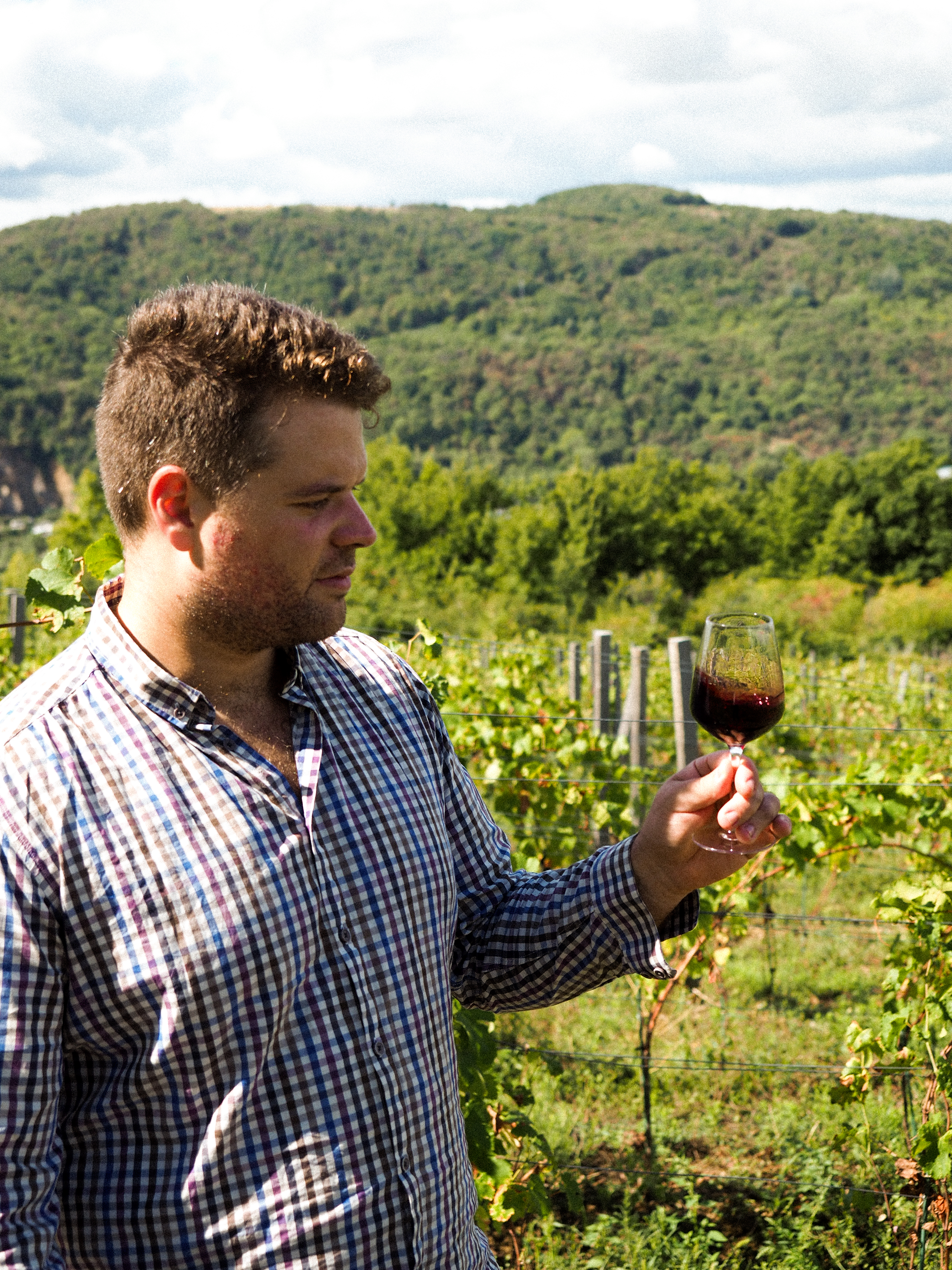Un homme en chemise à carreaux tenant un verre de vin rouge, se tenant au milieu d'un vignoble avec des collines verdoyantes en arrière-plan.